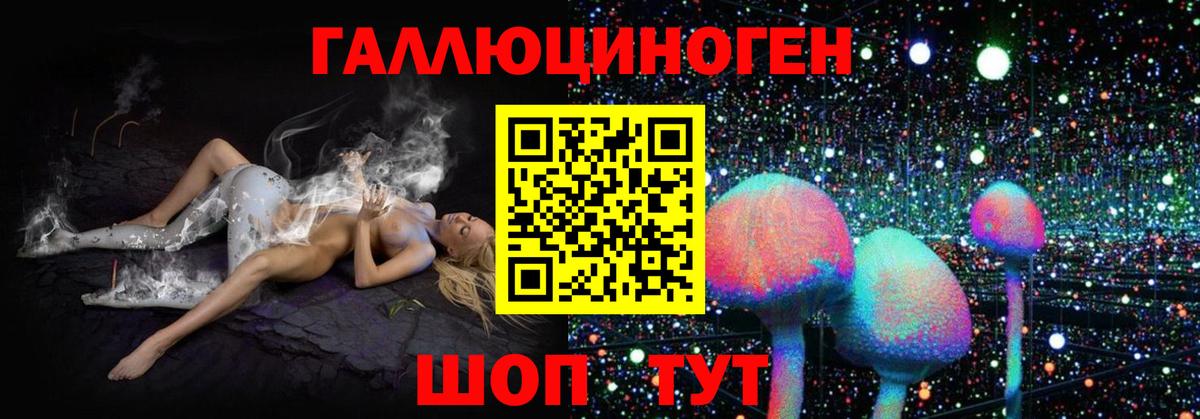 Псилоцибиновые грибы GOLDEN TEACHER Первоуральск